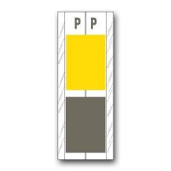 Acme Visable Color Coded Alphabetical Labels "P" (4" x 1-1/2")