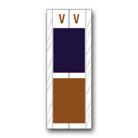 Acme Visable Color Coded Alphabetical Labels "V" (4" x 1-1/2")