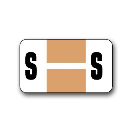 Safeguard Color Coded Alphabetical Labels "S" (15/16" x 1-5/8")