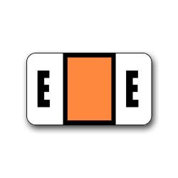 Safeguard Color Coded Alphabetical Labels "E" (15/16" x 1-5/8")