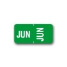 Tabbies Color Coded Month Labels "JUN" (1/2" x 1")