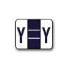 Tab 1283/1286 & Smead BCCS & BCCR Coded Alphabetical Labels "Y" (1" x 1-1/4")
