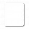 11" Side Non-Laminated Single Straight Blank Copier Tabs