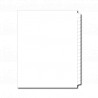11" Side Non-Laminated Single Straight Blank Copier Tabs