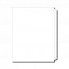 11" Side Laminated Single Straight Blank Copier Tabs