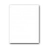 11" Blank Divider Sheets White 